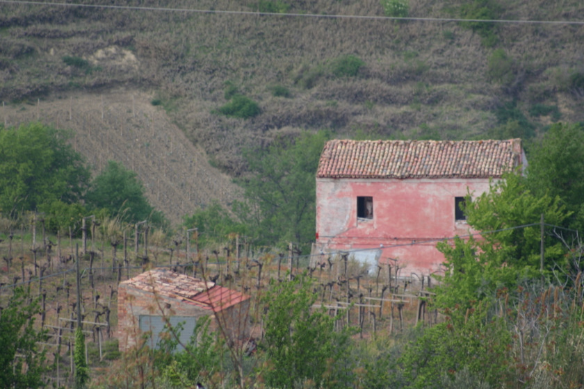Old and Abandoned: On Homes Forgotten