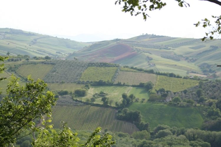 Our Tiny Italian (Dream) Home